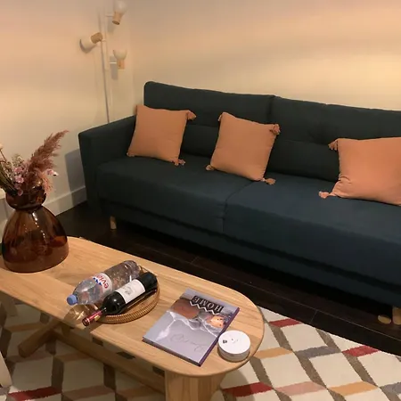 Apartment Cosy Et Chaleureux *